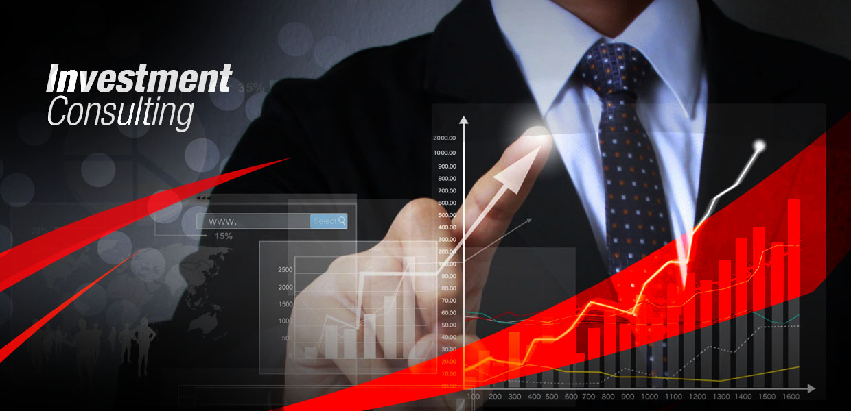 Consulting Services